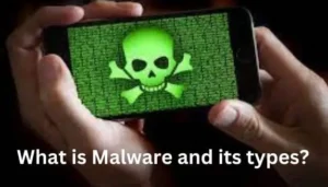 What is Malware and its types?