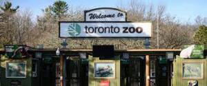 The Toronto Zoo is investigating a cybersecurity breach