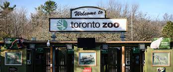 The Toronto Zoo is investigating a cybersecurity breach